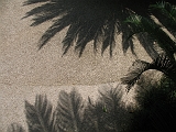 Villa Ephrussi de Rotschild - Jardin japonais (1)